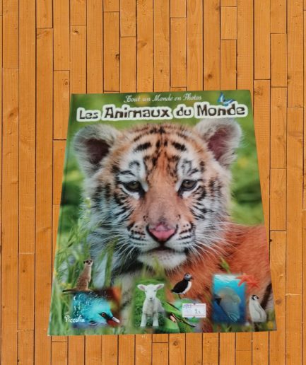 LIVRE ENFANT A PARTIR DE 6ANS