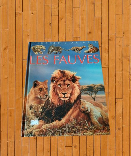 LIVRE ENFANT