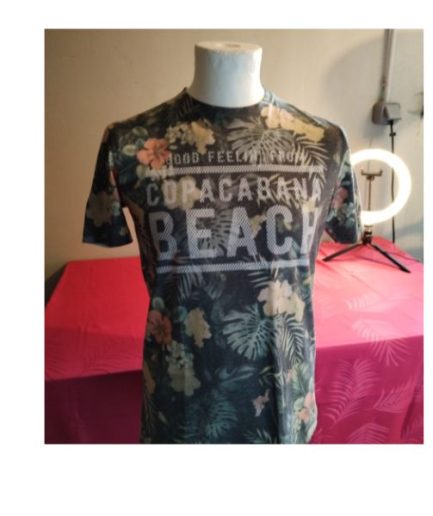 Tee-shirt gris homme T16A gemo