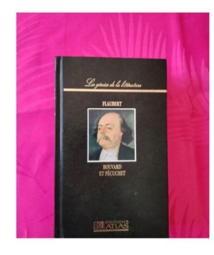 FLAUBERT