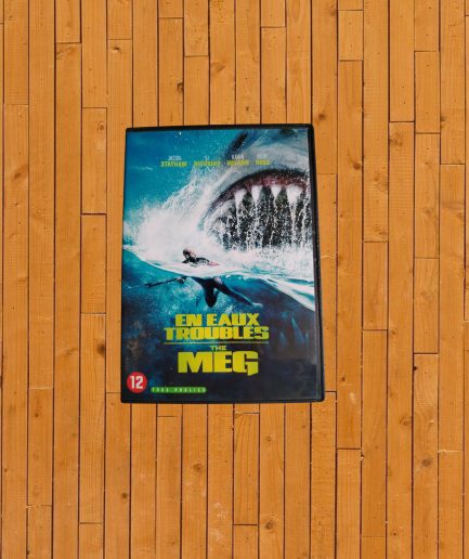 DVD ADULTE EN EAUX TROUBLES