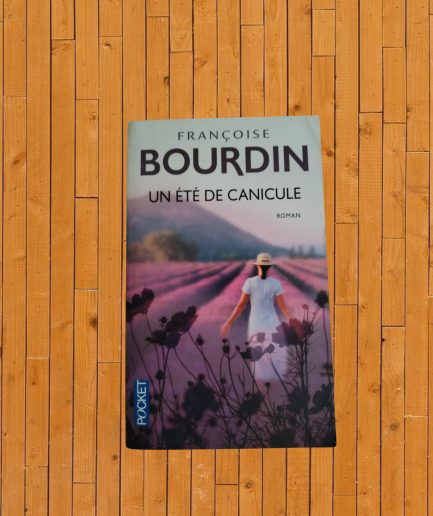 LIVRE ADULTE UN ETE DE CANICULE