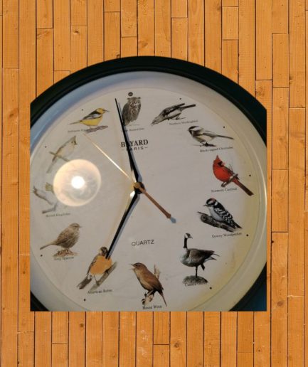 Décoration murale pendule oiseaux