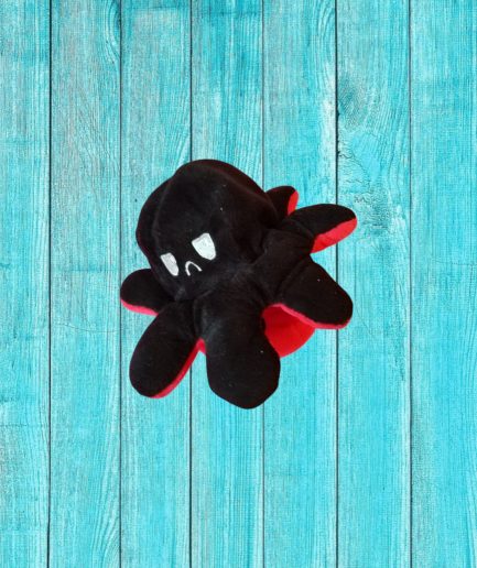 PELUCHE PIEUVRE COTE NOIR