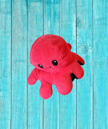 PELUCHE PIEUVRE COTE ROUGE