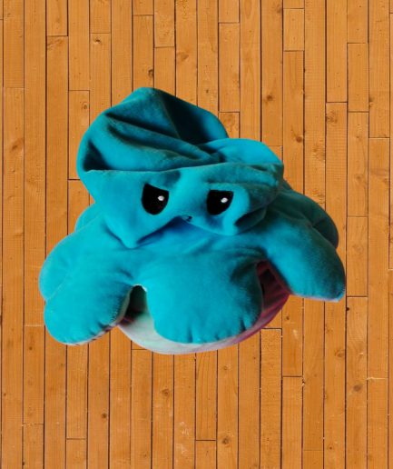 PELUCHE PIEUVRE MECONTENTE