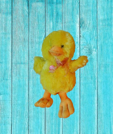 PELUCHE CANARD
