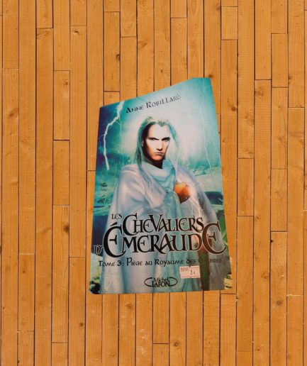 LIVRE ADULTE CHEVALIER D L'EMERAUDE TOME 3