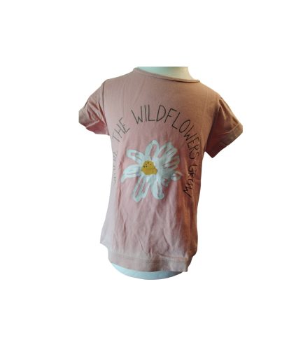 TEESHIRT FILLE 3A LUPILU